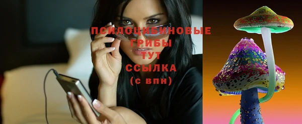 гашик Абинск