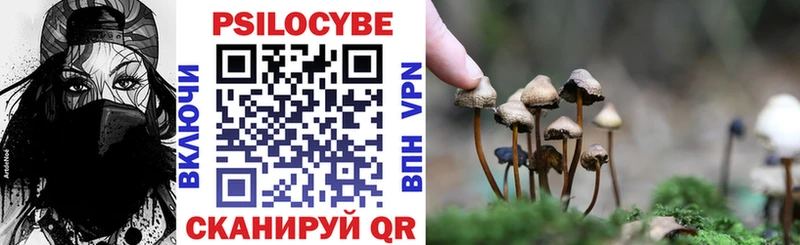 Псилоцибиновые грибы Cubensis  Дмитровск 